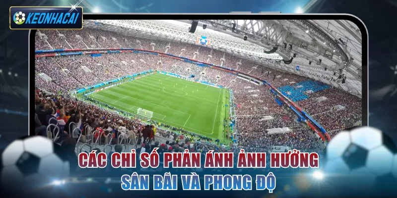 Các chỉ số phản ánh ảnh hưởng sân bãi và phong độ